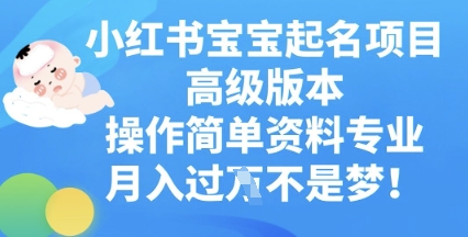 小红书宝宝起名项目高级版本,操作简单,资料专业,月入过W-亮剑学堂